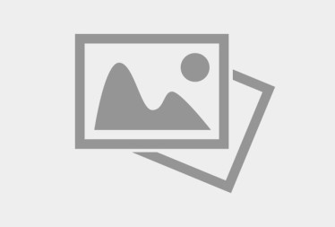 BLAZE <strong>100% Coconut Shell Charcoal Briquettes</strong>